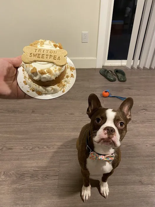 Puppernickel 4
