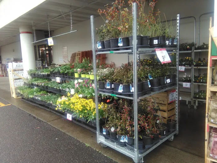 Bi-Mart Membership Discount Stores 6