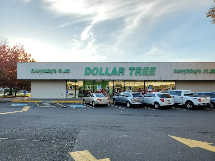 Dollar Tree 1