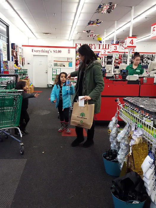 Dollar Tree 6