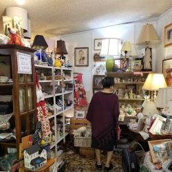 Antique Mall Snider's Hill ico