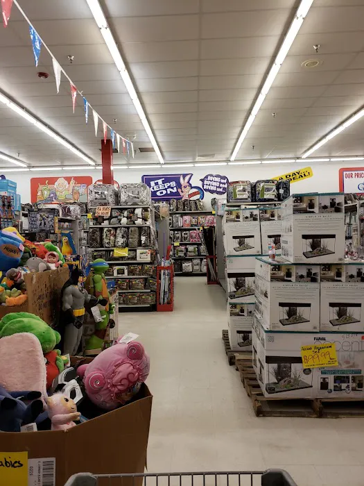 Ollie's Bargain Outlet 0