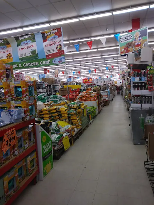 Ollie's Bargain Outlet 3