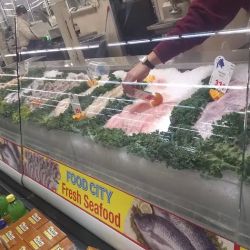Food City ico