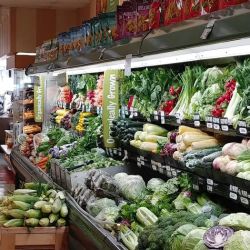 Mollie Stone's Markets ico