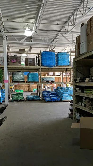 Menards 6
