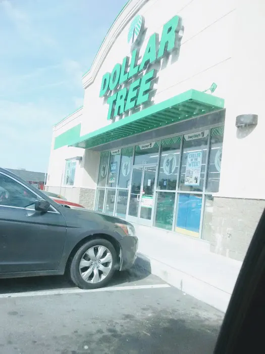 Dollar Tree 4