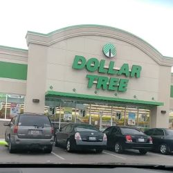 Dollar Tree ico
