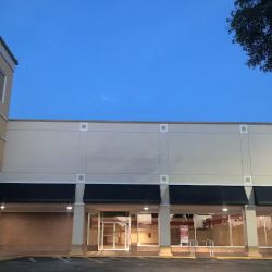 bealls ico