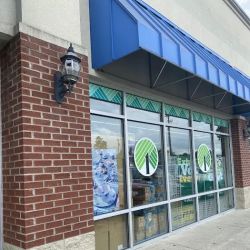 Dollar Tree ico