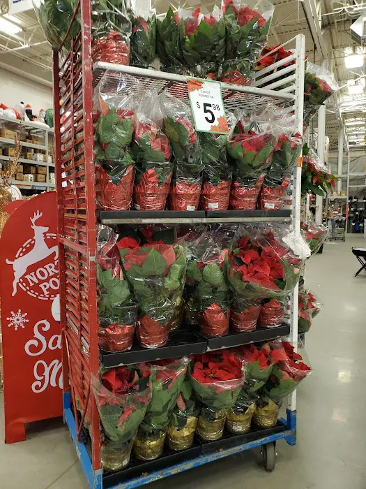 Lowe's Home Improvement 1