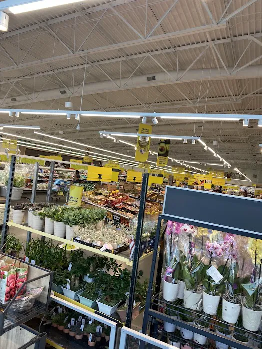 Lidl 2