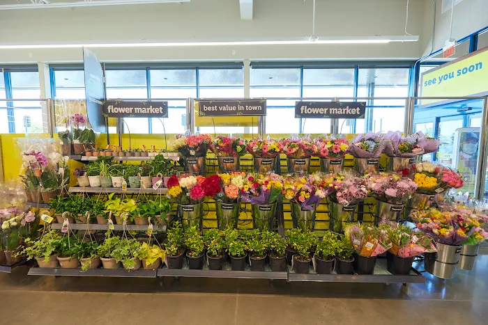 Lidl 9