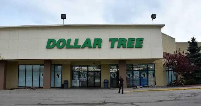 Dollar Tree 2