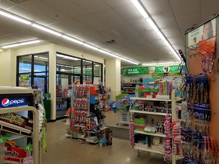 Dollar Tree 7