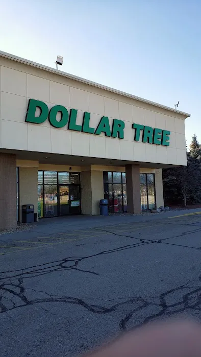 Dollar Tree 8