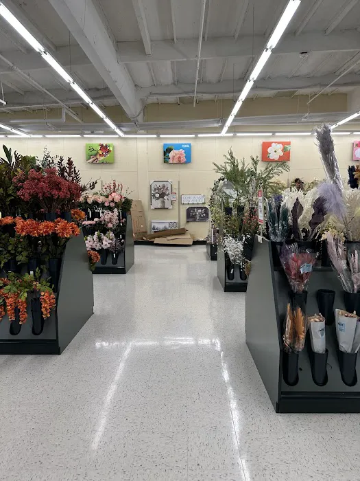 Hobby Lobby 7