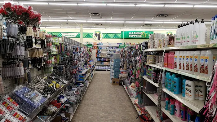 Dollar Tree 8