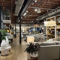 west elm ico