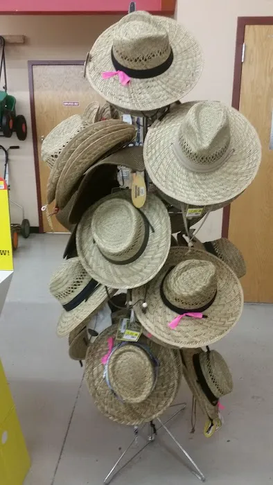 Ruggiero's Ace Hardware - Gilbert 2