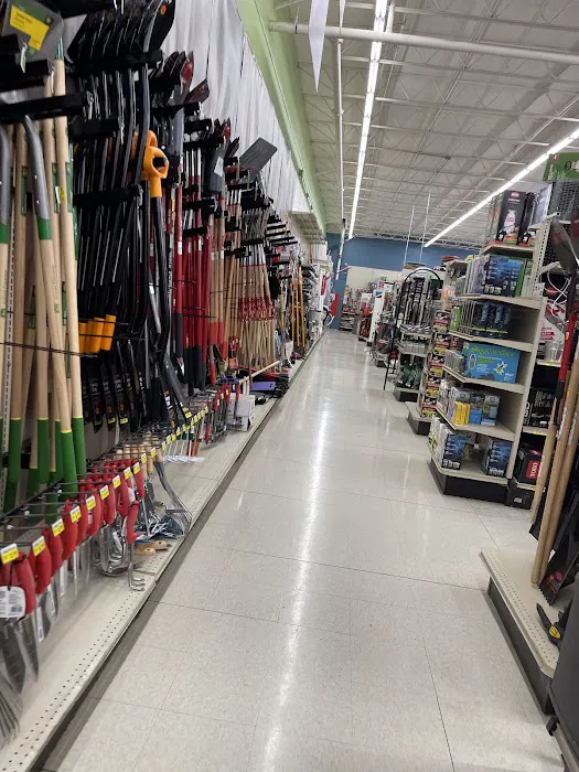Westlake Ace Hardware 1