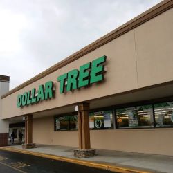 Dollar Tree ico