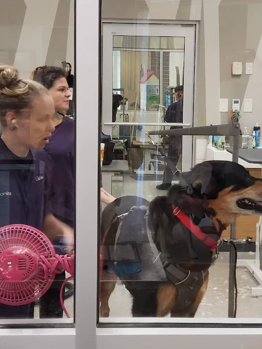 Petco 5