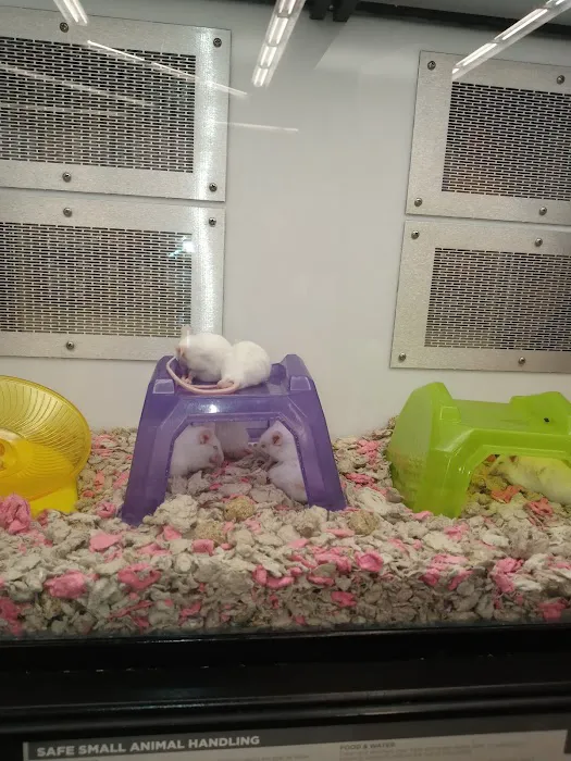 Petco 4