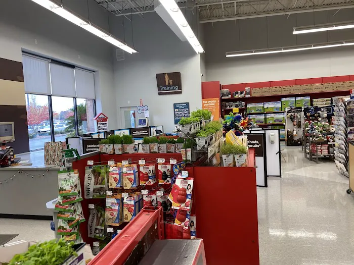 Petco 1