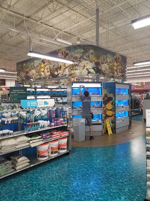 Petco 8