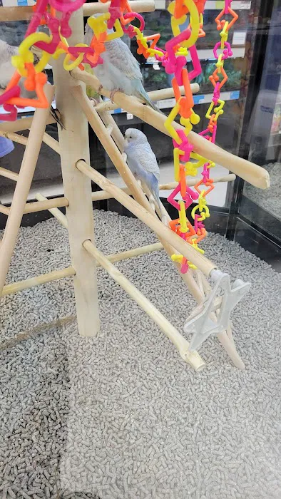 Petco 7