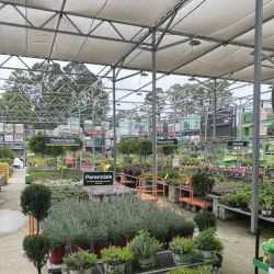 The Home Depot ico