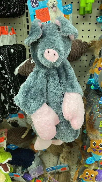 Ollie's Bargain Outlet 0