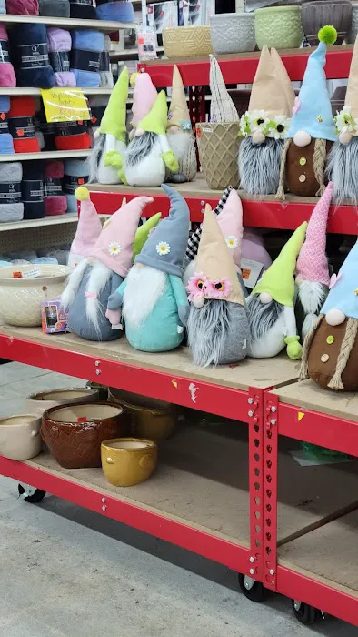 Ollie's Bargain Outlet 5