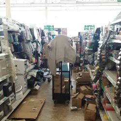 Dollar Tree ico