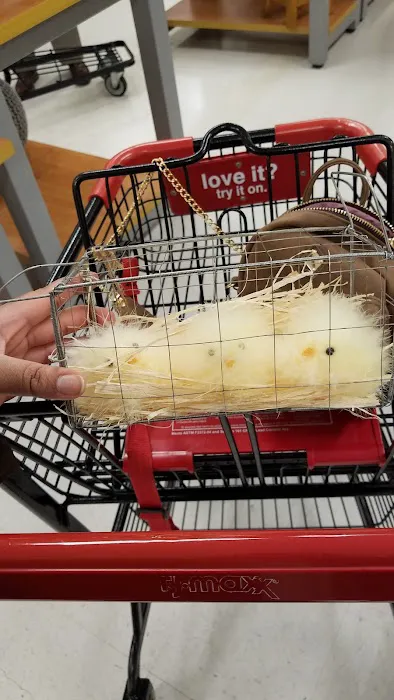 T.J. Maxx 4