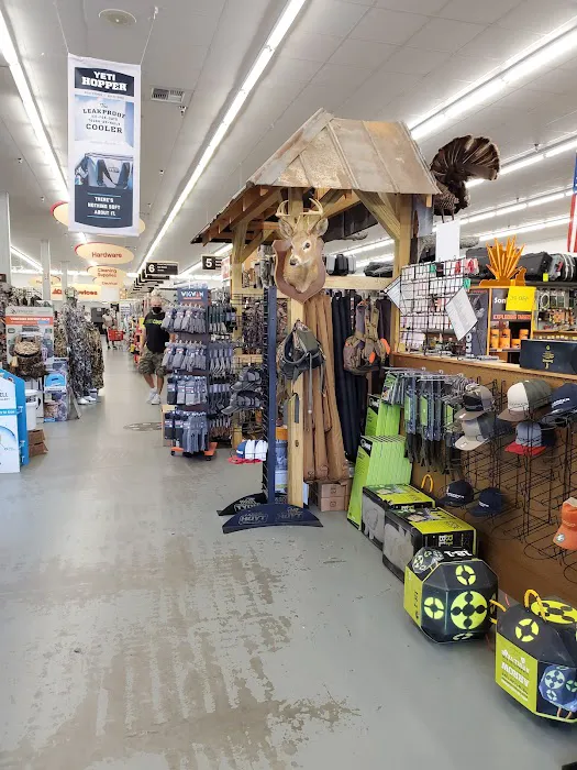 Ace Hardware 2