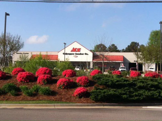 Ace Hardware 9
