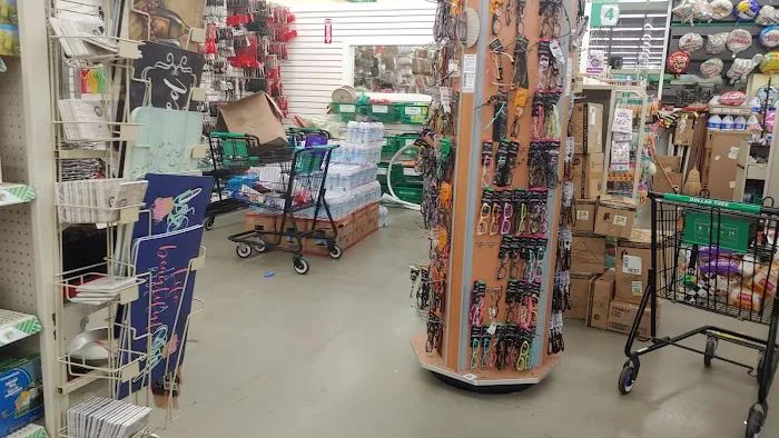 Dollar Tree 3