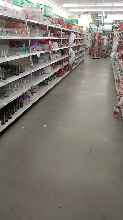 Dollar Tree 2