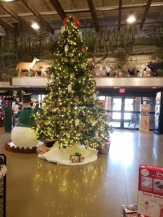 Bass Pro Shops 7
