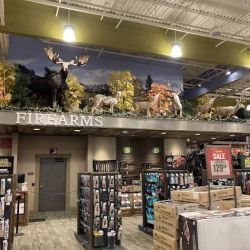Bass Pro Shops ico