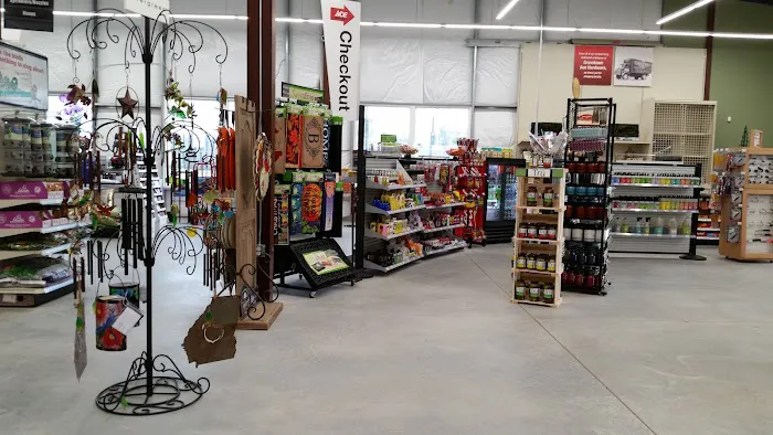 Grovetown Ace Hardware 4