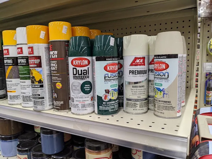 Grovetown Ace Hardware 2