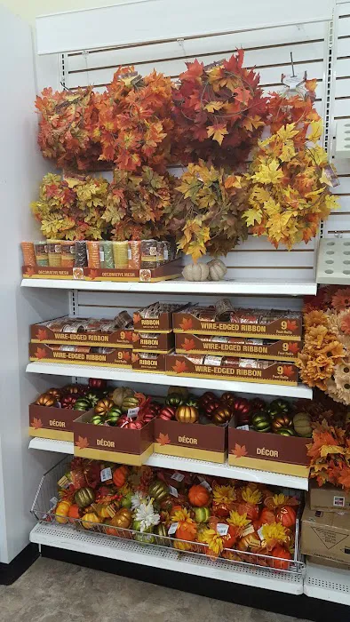 Dollar Tree 4