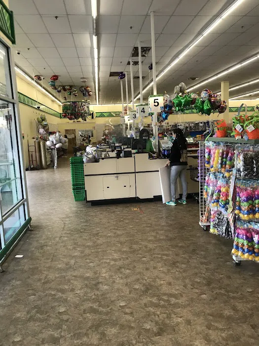 Dollar Tree 7