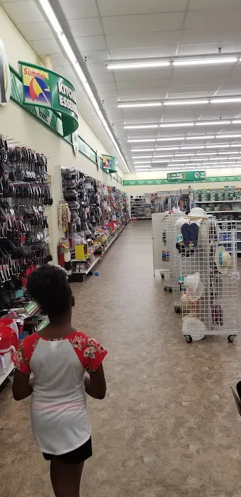 Dollar Tree 6