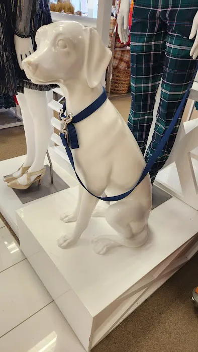 Belk 9