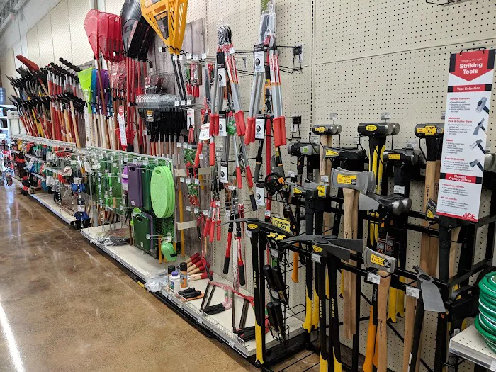 Augusta Ace Hardware 2