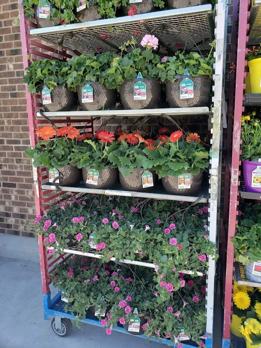 Walmart Neighborhood Market 9